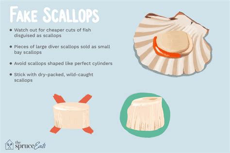 what are imitation scallops made of